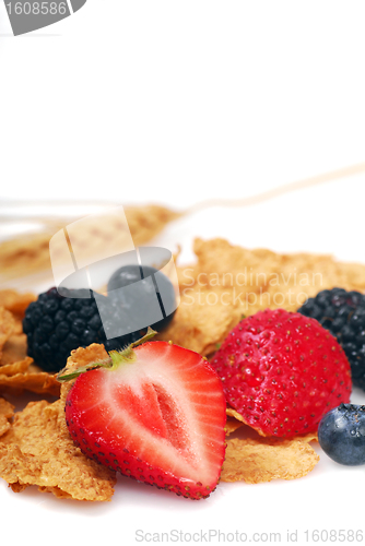 Image of Bran cereal with blueberries, strawberries and blackberries