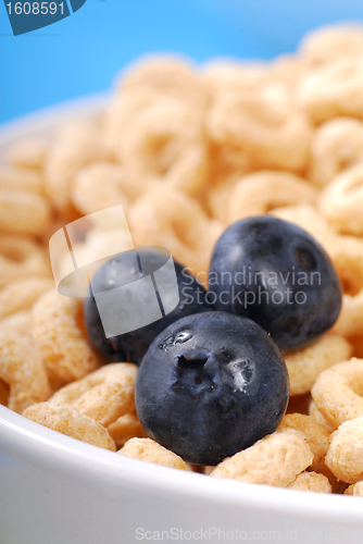 Image of Oat cereal with blueberries