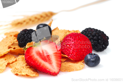 Image of Bran cereal with blueberries, strawberries and blackberries