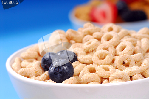 Image of Bowl of oat cereal with blueberries