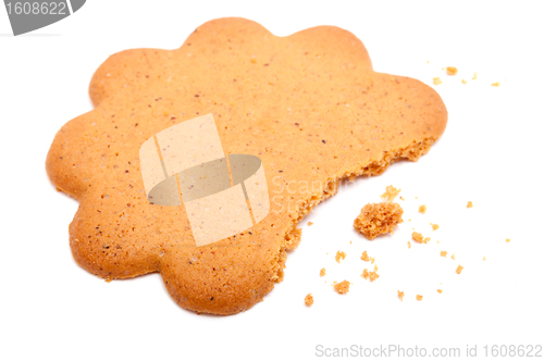 Image of Ginger Cookie