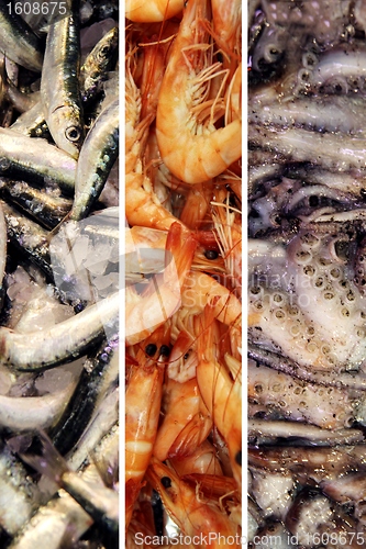 Image of Collage fresh fish
