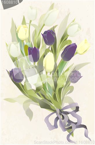 Image of Bouquet of tulips .  Buds and flowers of a tulips.  Spring tulip flowers bunch.