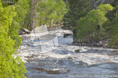 Image of Springtime whitewater in  Colorado