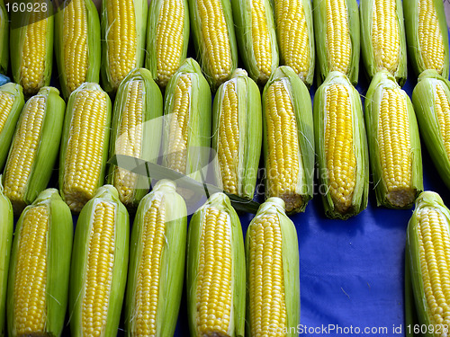 Image of sweet corn