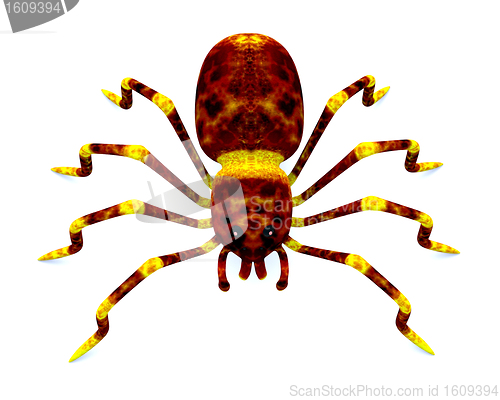 Image of Spider