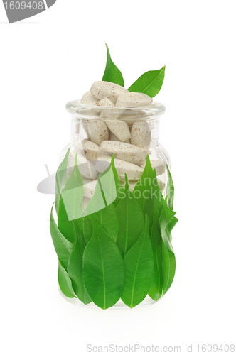 Image of Herbal supplement pills and fresh leaves in glass