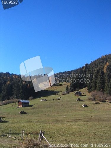 Image of Summer alpine landscape