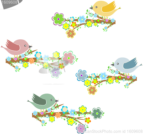 Image of Birds sitting on tree at different seasons