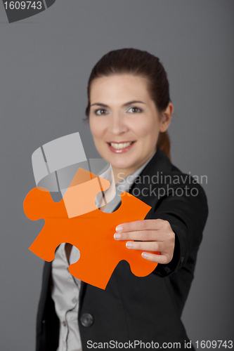 Image of The Solution