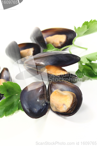 Image of Mussels with flat leaf parsley