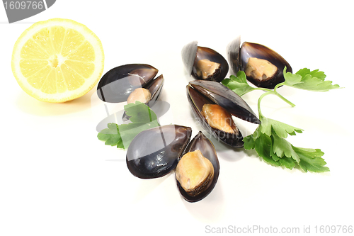 Image of Mussels with Parsley and Lemon