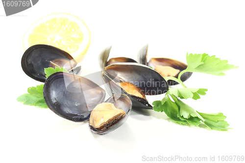 Image of Mussels with flat leaf parsley and Lemon