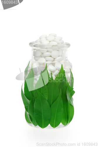 Image of Herbal supplement pills in pill bottle