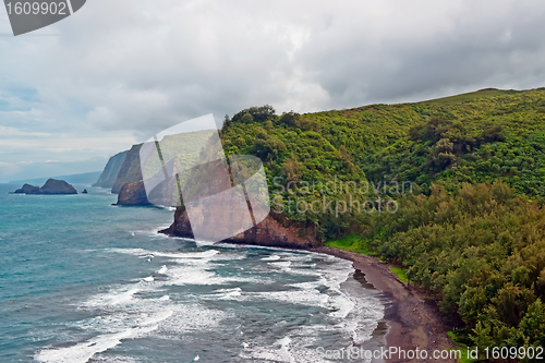 Image of Polulu Valley beach on Big Island in Hawaii