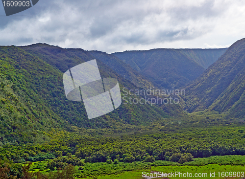 Image of Polulu Valley on Big Island in Hawaii