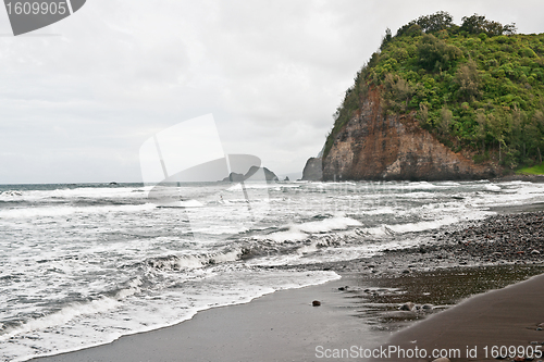 Image of Polulu Valley beach on Big Island in Hawaii