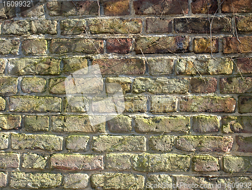 Image of Brick wall