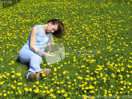 Image of Girl on dandelion lawn