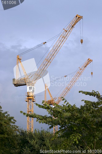 Image of Crane