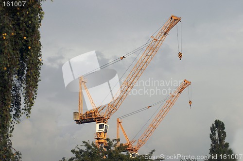 Image of Crane