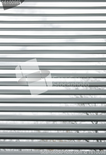 Image of Trees seen through semi-closed metallic blinds