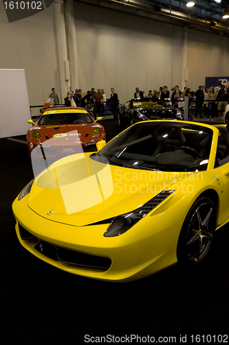 Image of Yellow 458 Spider