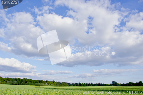 Image of Huge green meadow shadows. Cloudy blue sky 