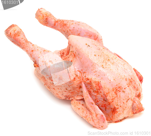 Image of raw chicken