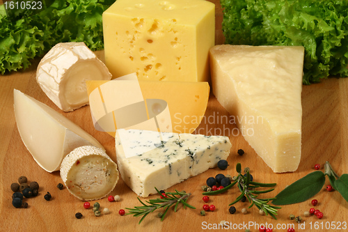 Image of Cheese