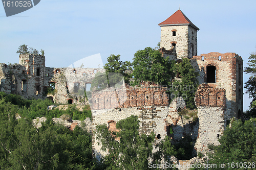 Image of Tenczyn castle