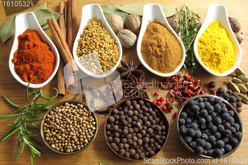 Image of Spices and herbs