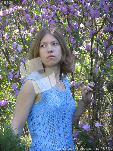 Image of Girl and rhododendron in blossom