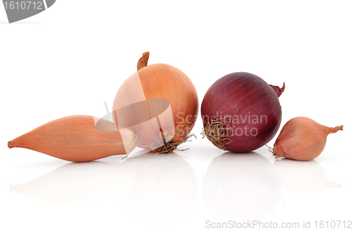 Image of Onion Types