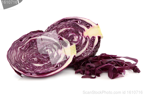 Image of Red Cabbage