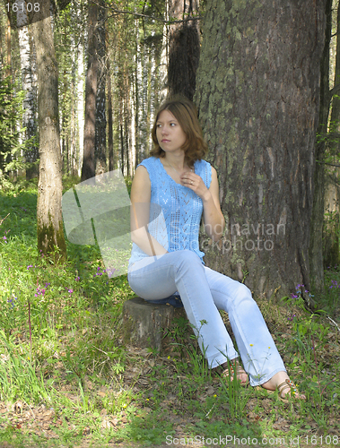 Image of Girl on the stump