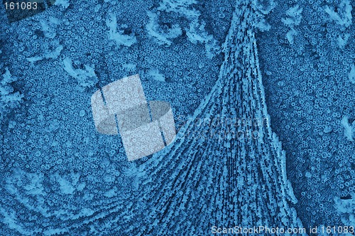 Image of Frosty car window.