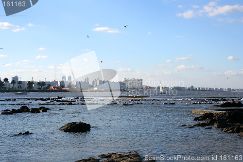 Image of Skyline of Montevideo