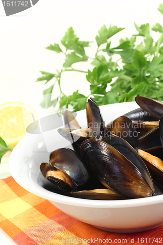 Image of fresh mussels in a bowl