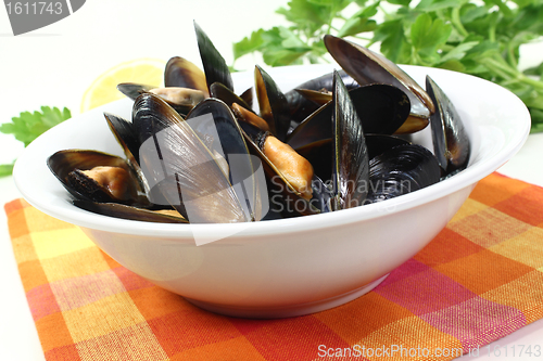 Image of mussels in a white bowl