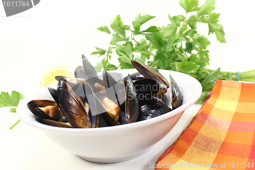 Image of mussels in a bowl