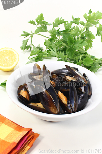 Image of steamed mussels in a bowl