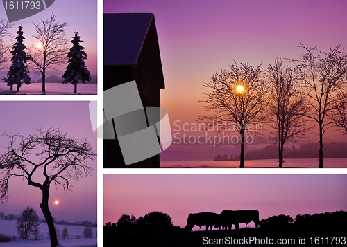Image of Winter Landscape