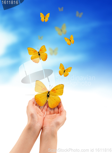 Image of Hands with Butterflies