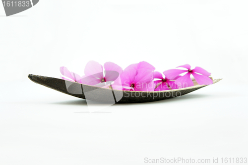 Image of Pink Flower Boat