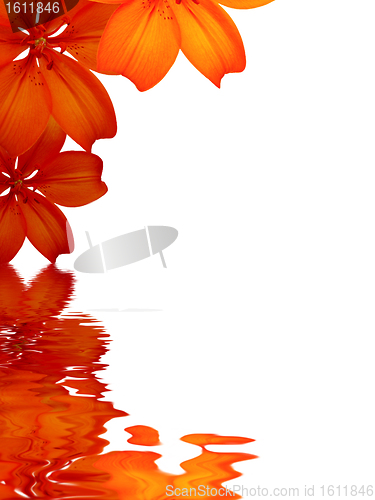 Image of Flowers background reflecting in water