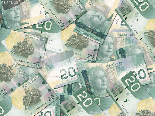 Image of Canadian 20 Dollar Bills