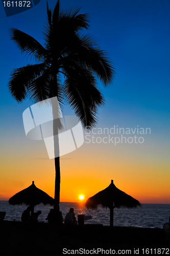 Image of Tropical Summer Sunset