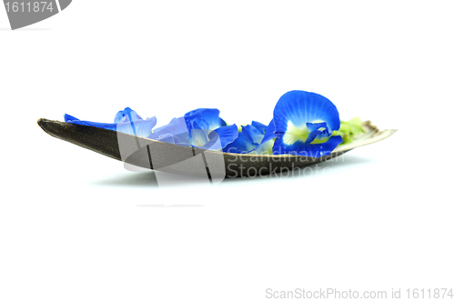 Image of Blue Flower Boat