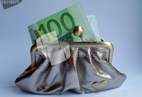 Image of Savings -  Euro cash in small purse